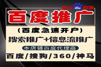 SEM广告优化案例：实战技巧解析